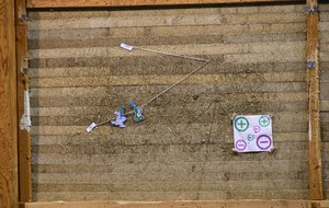 Soirée crêpes ou le lièvre et la tortue